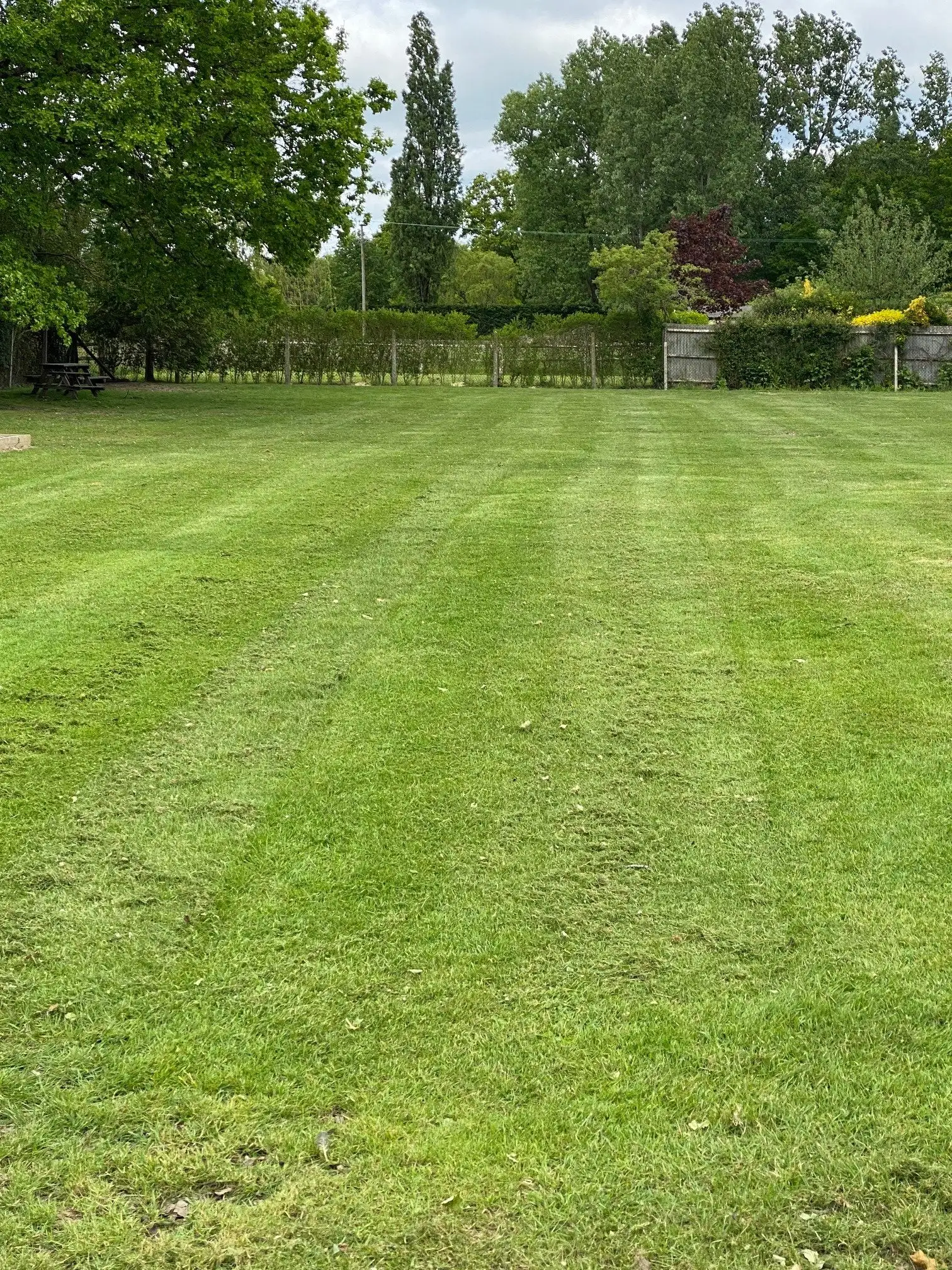 Field Cutting 2