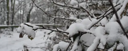 Winter Gritting