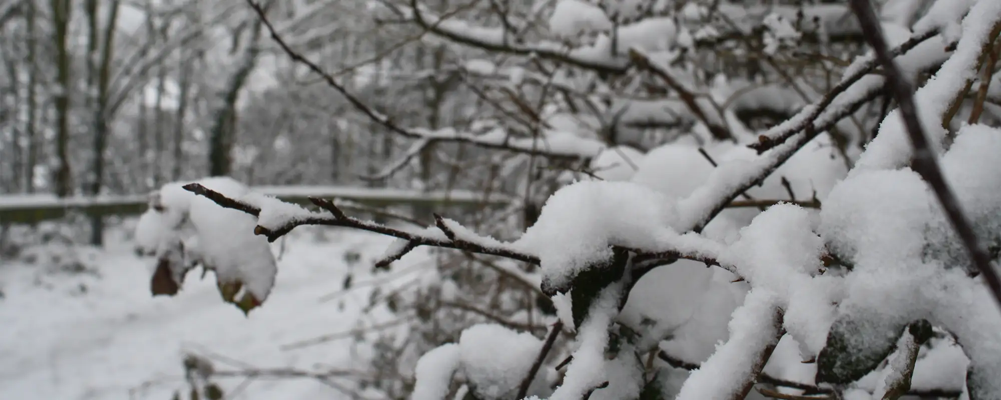 Winter Gritting