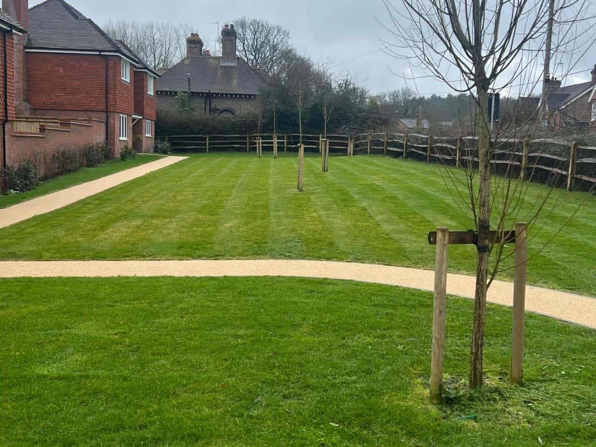 Communal lawn and paths between new houses