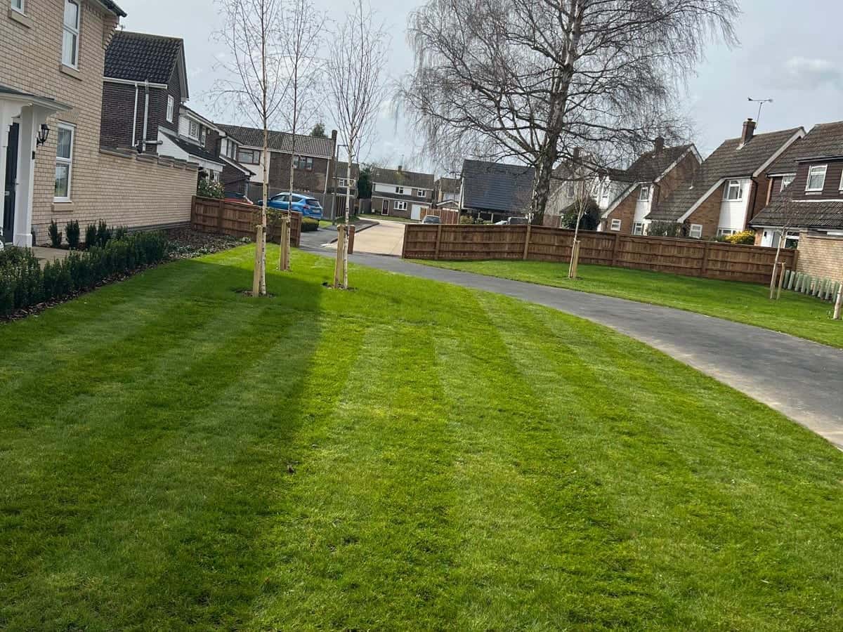 Striped lawn beside an estate road