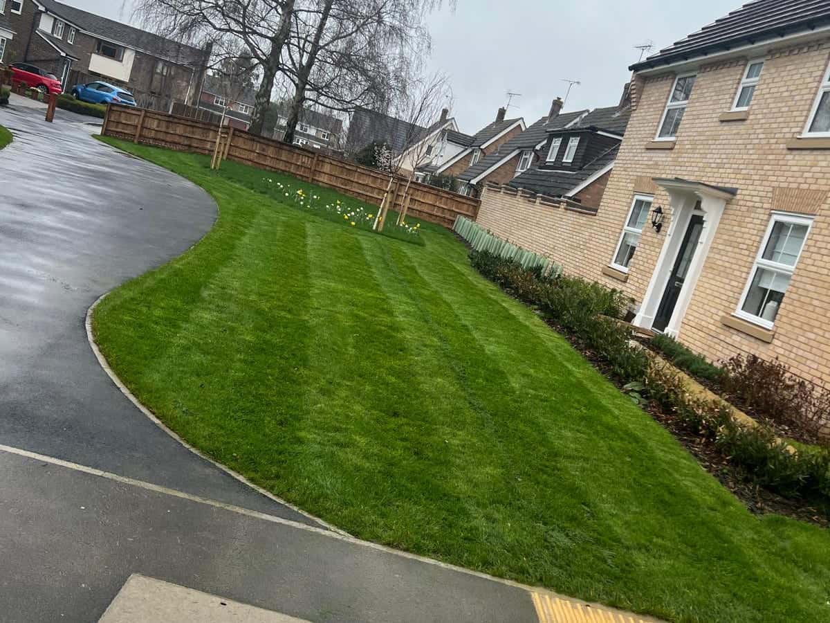 Mown lawn edged along an estate path