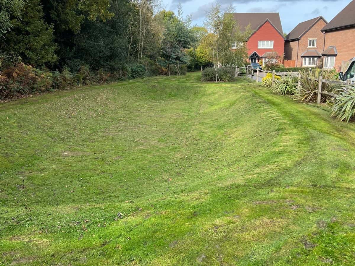 Open space mown beside new houses