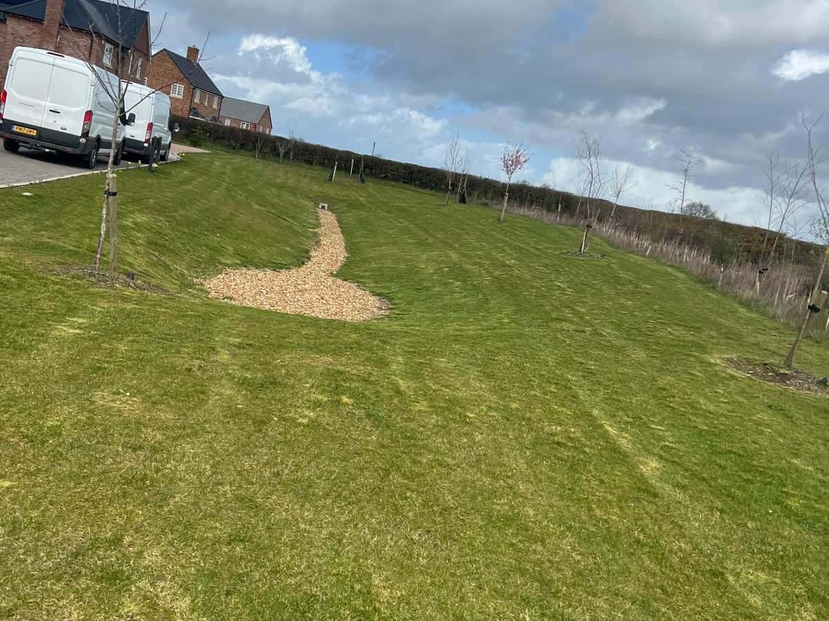 Estate open space with a wood chip path