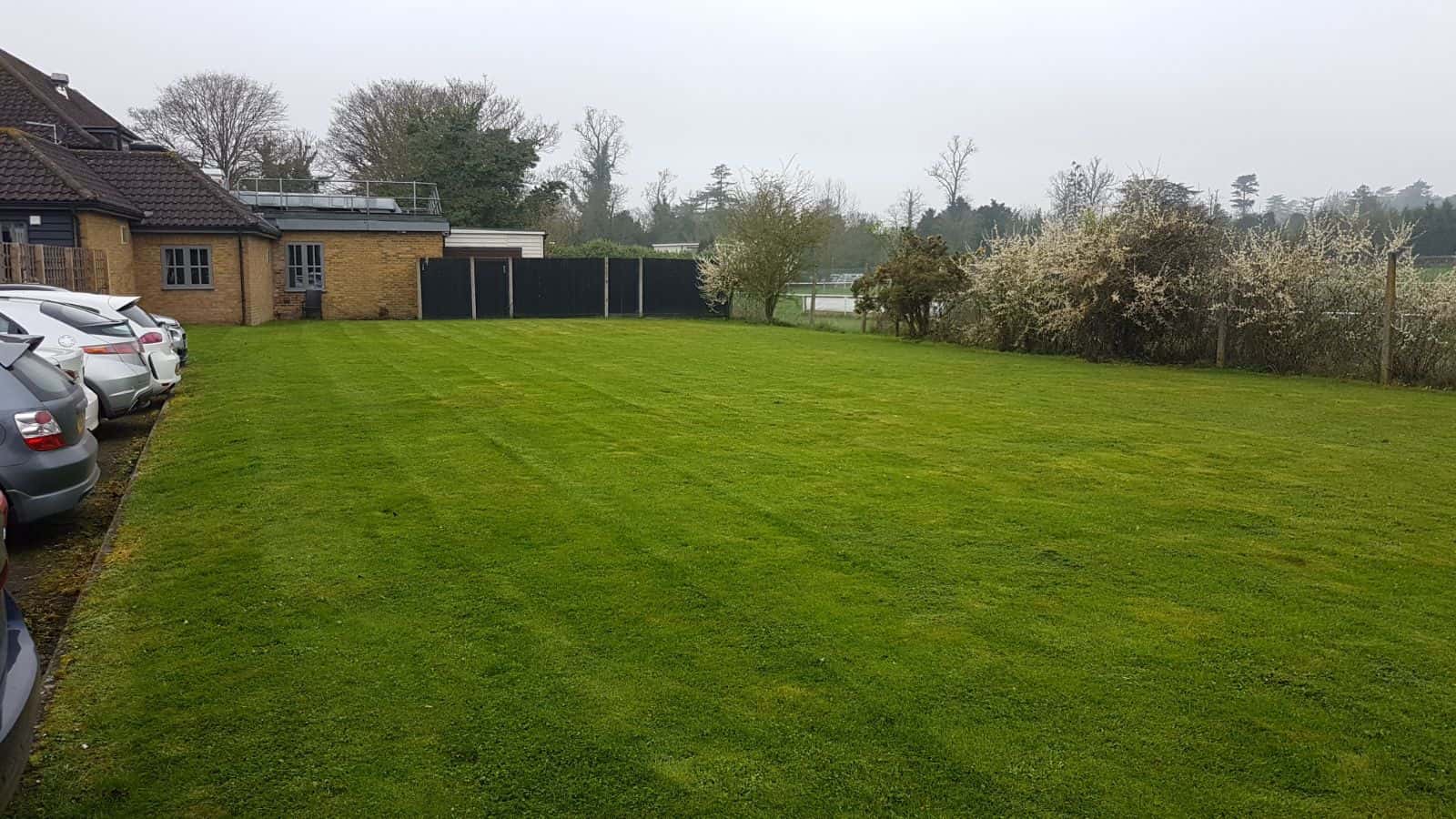 Grass Cutting 1