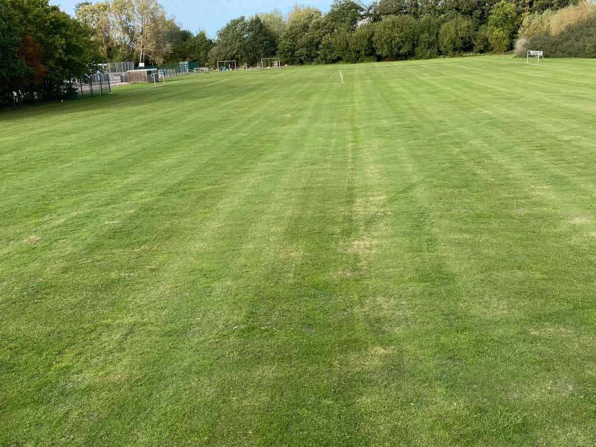 Playing field after a cut