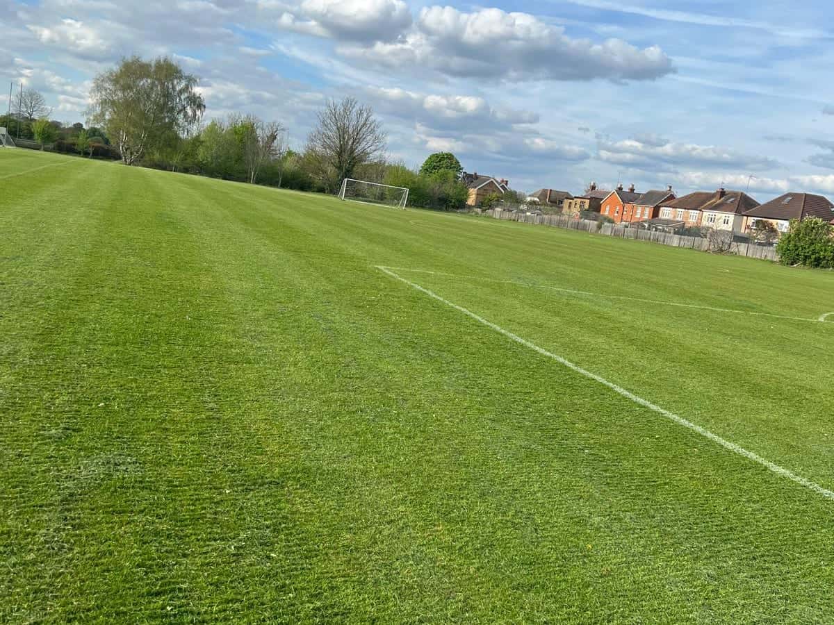 Cut and marked school field