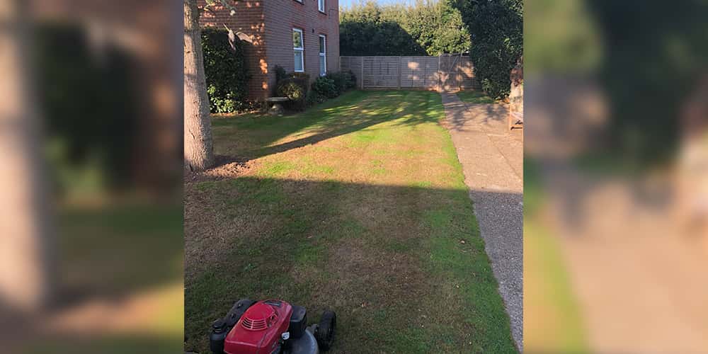 Care Home Garden