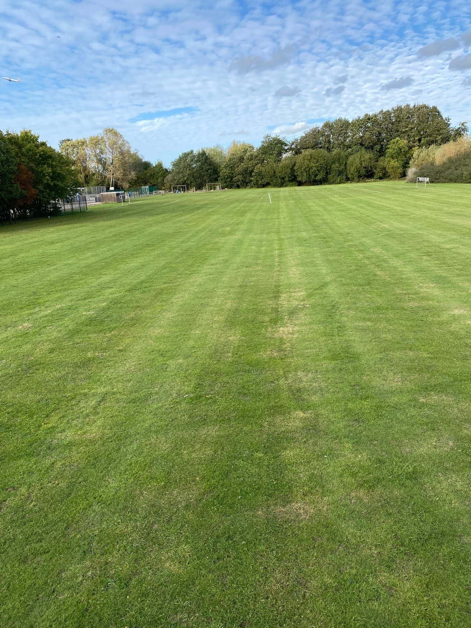 Field Cutting 1