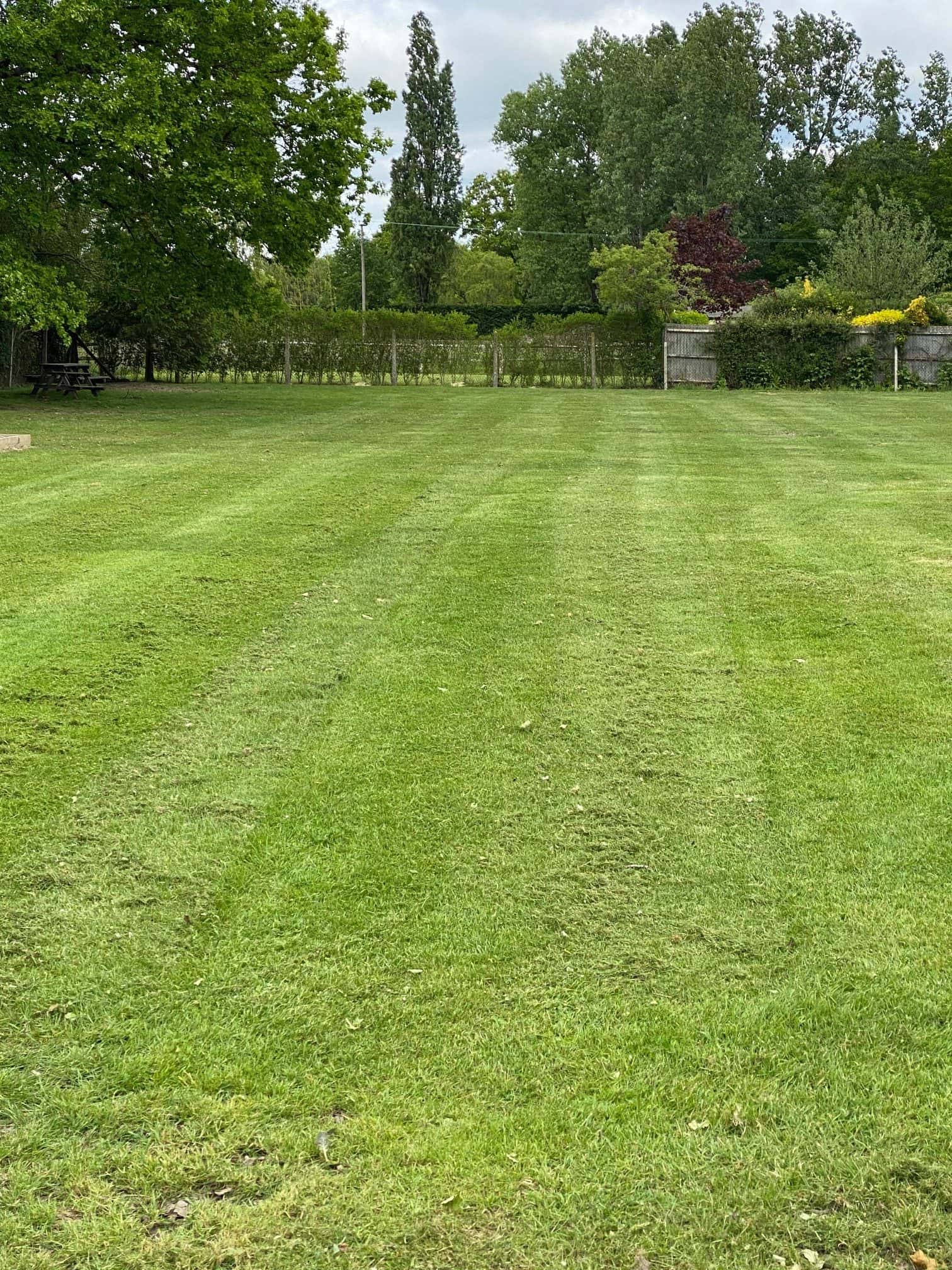 Field Cutting 2