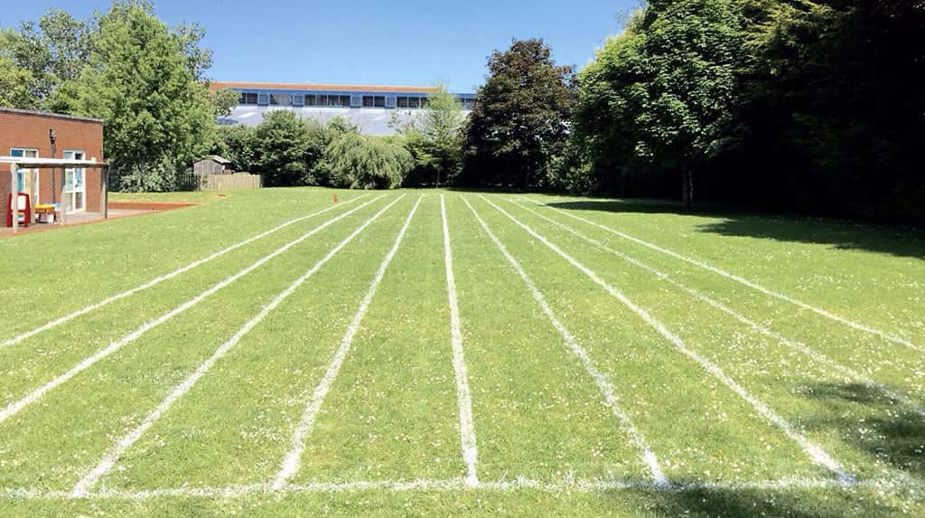 School Grounds 1