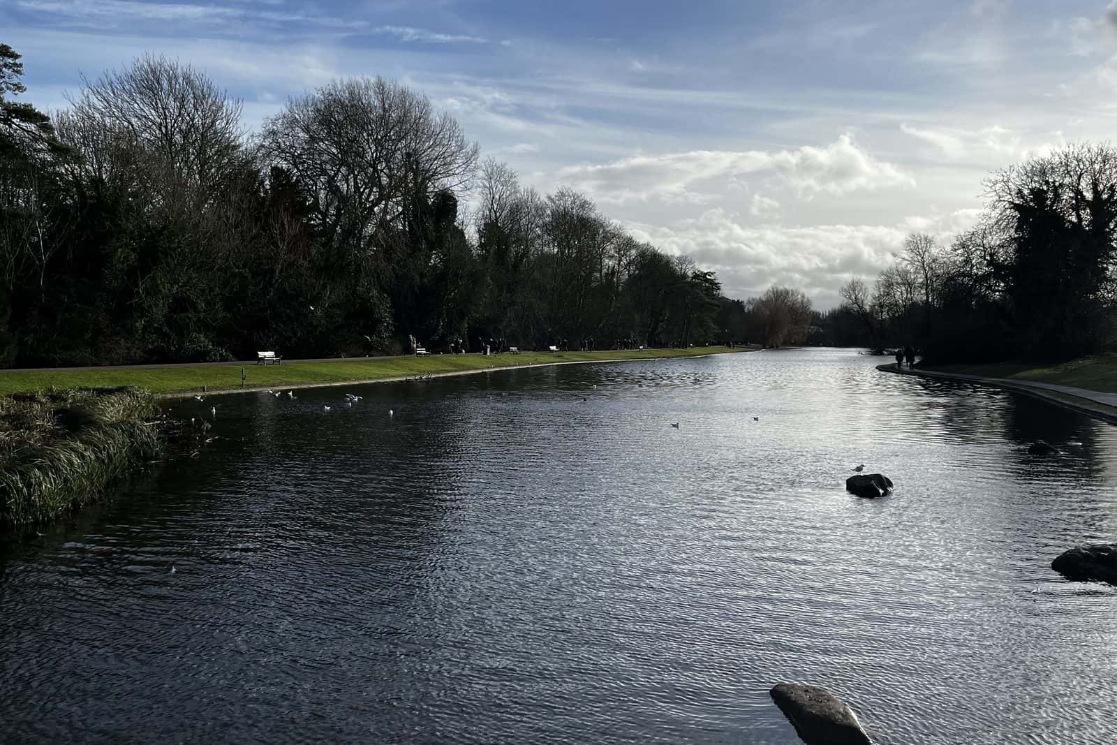 Verulamium Lake, St Albans, Hertfordshire