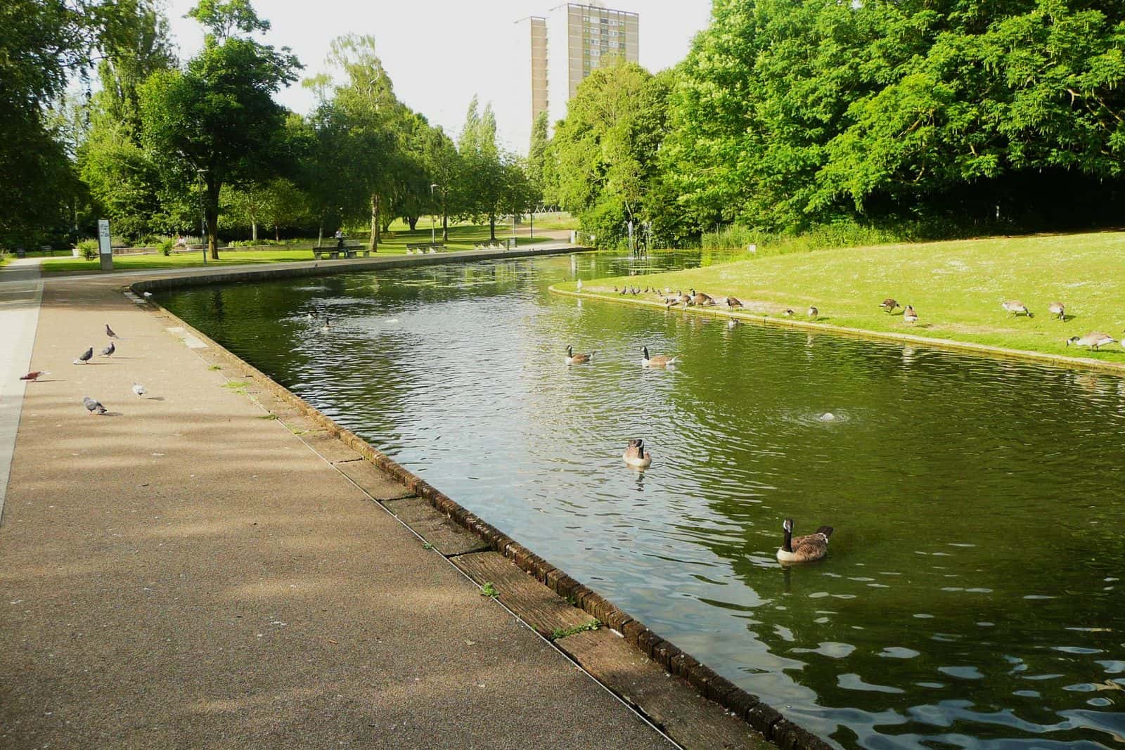 the pond in the Town Centre Gardens, Stevenage, Hertfordshire