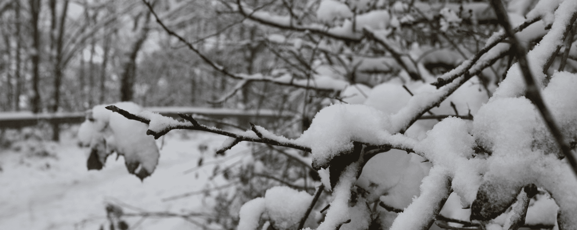 Winter Gritting