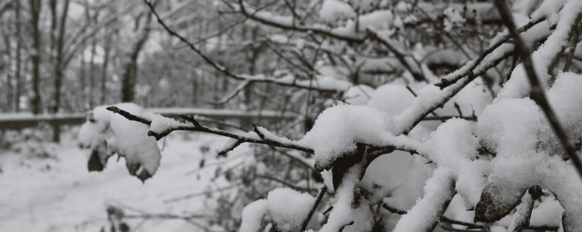Winter Gritting